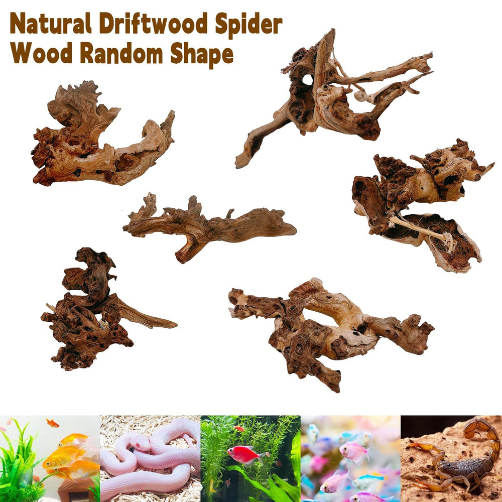 Hamiledyi natural driftwood enhances fish tank beauty and realism.