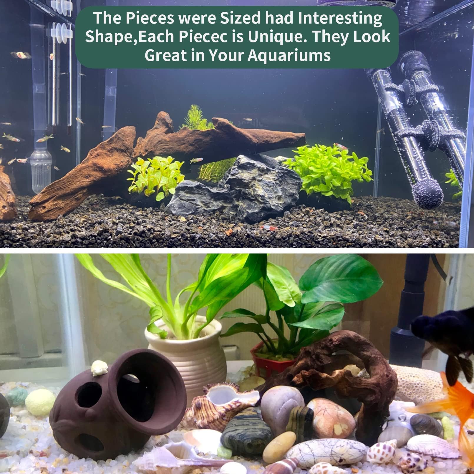 Hamiledyi driftwood pair for attractive aquascapes and fish shelter
