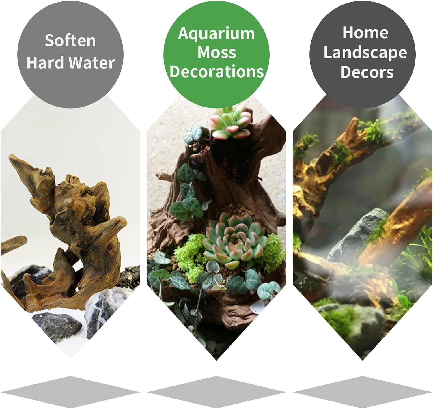 Hamiledyi driftwood branch decor creates climbing and hiding routes for inhabitants.