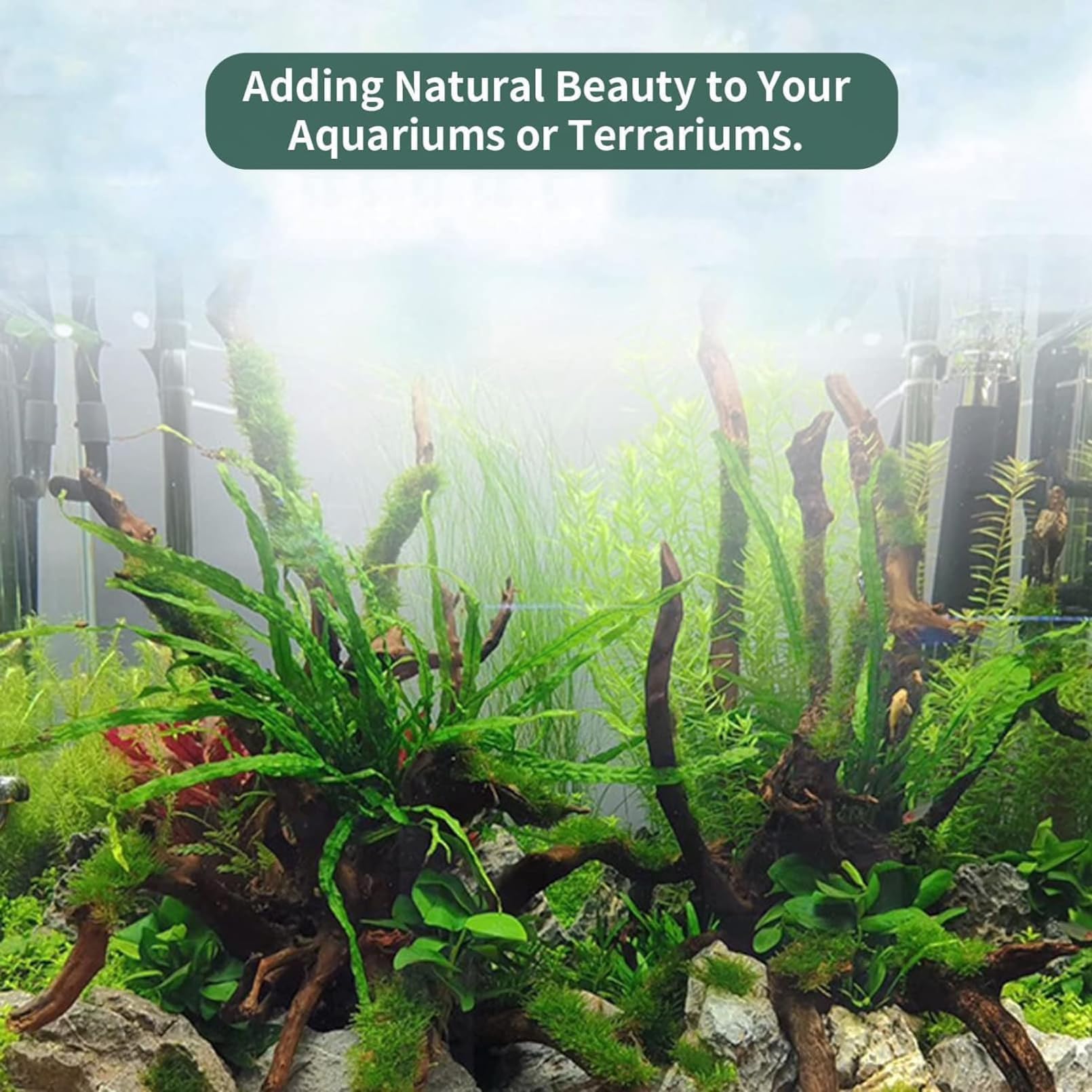 Hamiledyi driftwood habitat decor offers climbing surfaces for reptiles and curious pets.