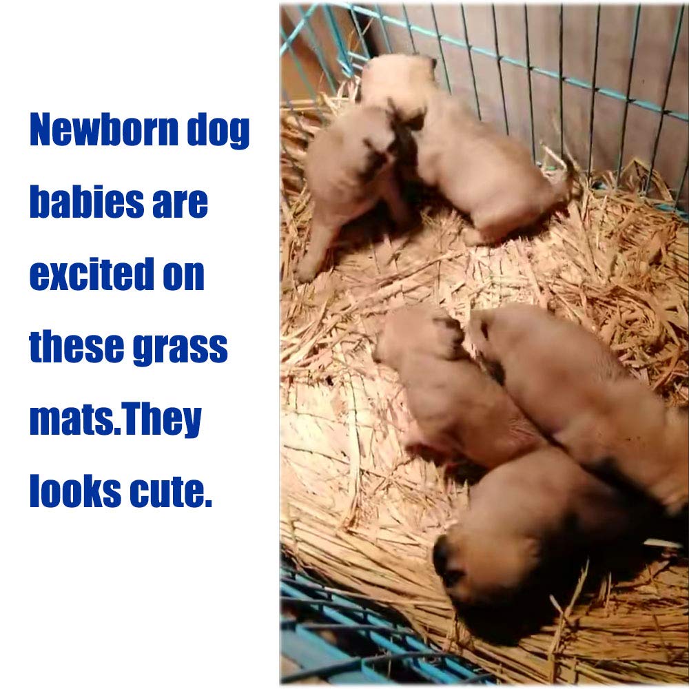 Hamiledyi durable grass mat supports nesting and comfy lounging for small animals.