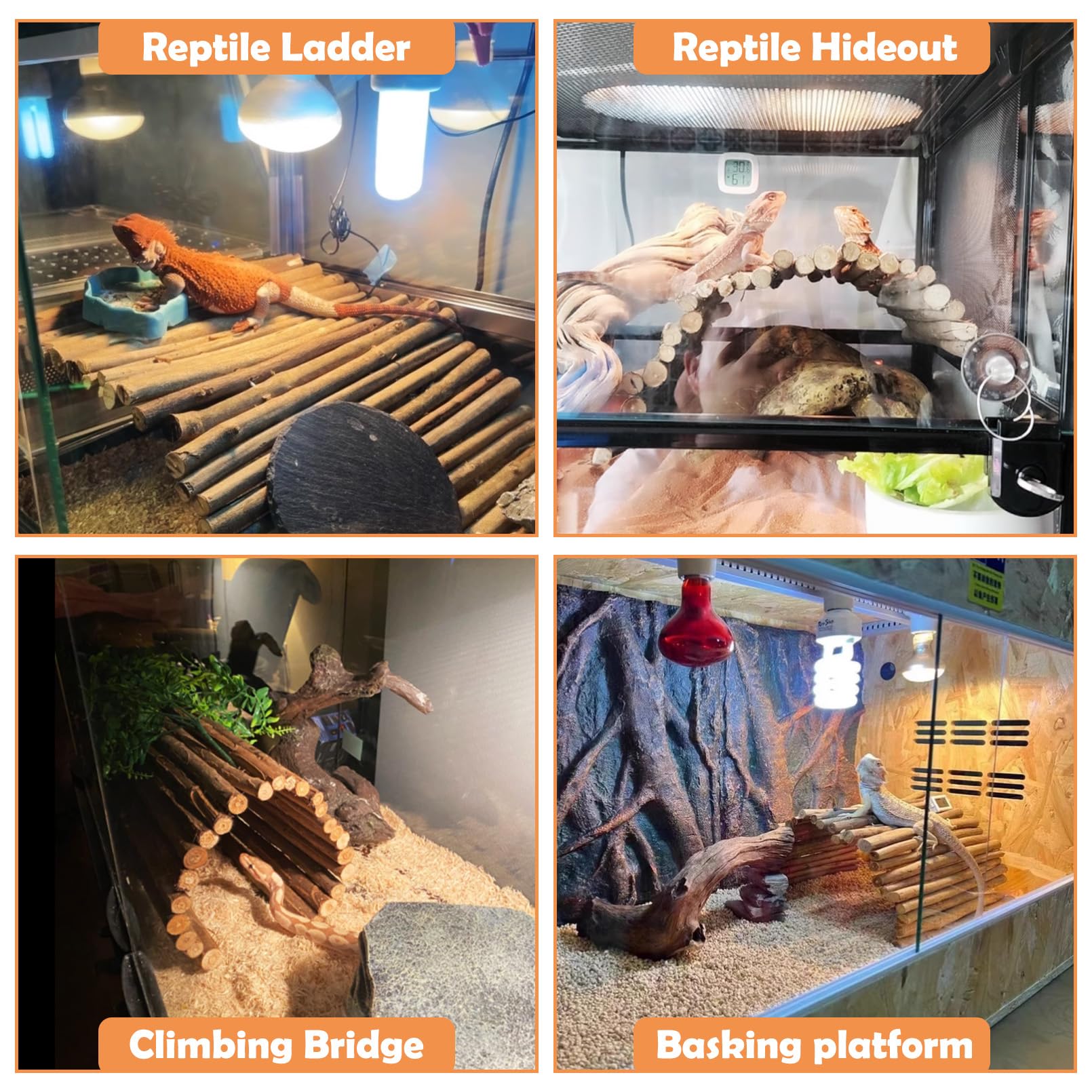 Hamiledyi dynamic habitat environment supports natural exploration and privacy.