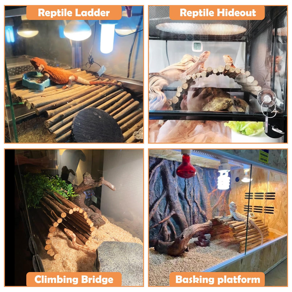 Hamiledyi dynamic habitat environment supports natural exploration and privacy.