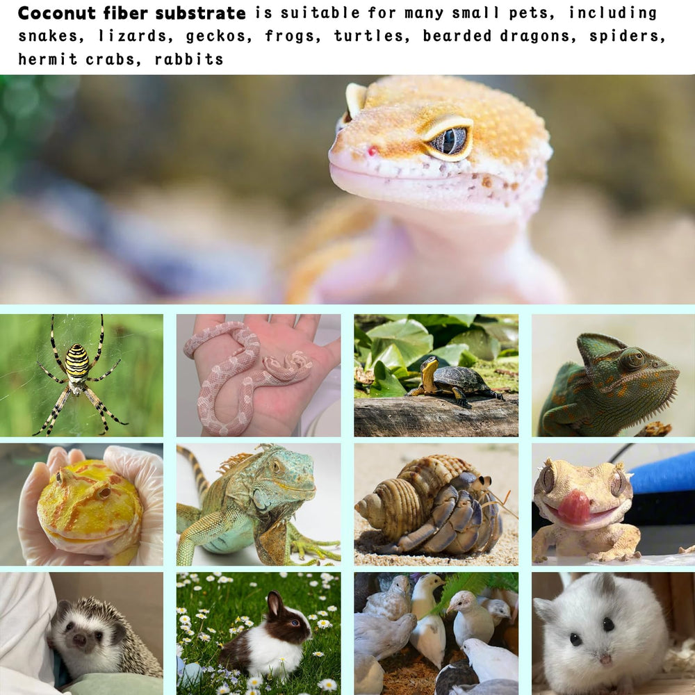 Easy-clean Hamiledyi reptile mat: shake, rinse, air dry