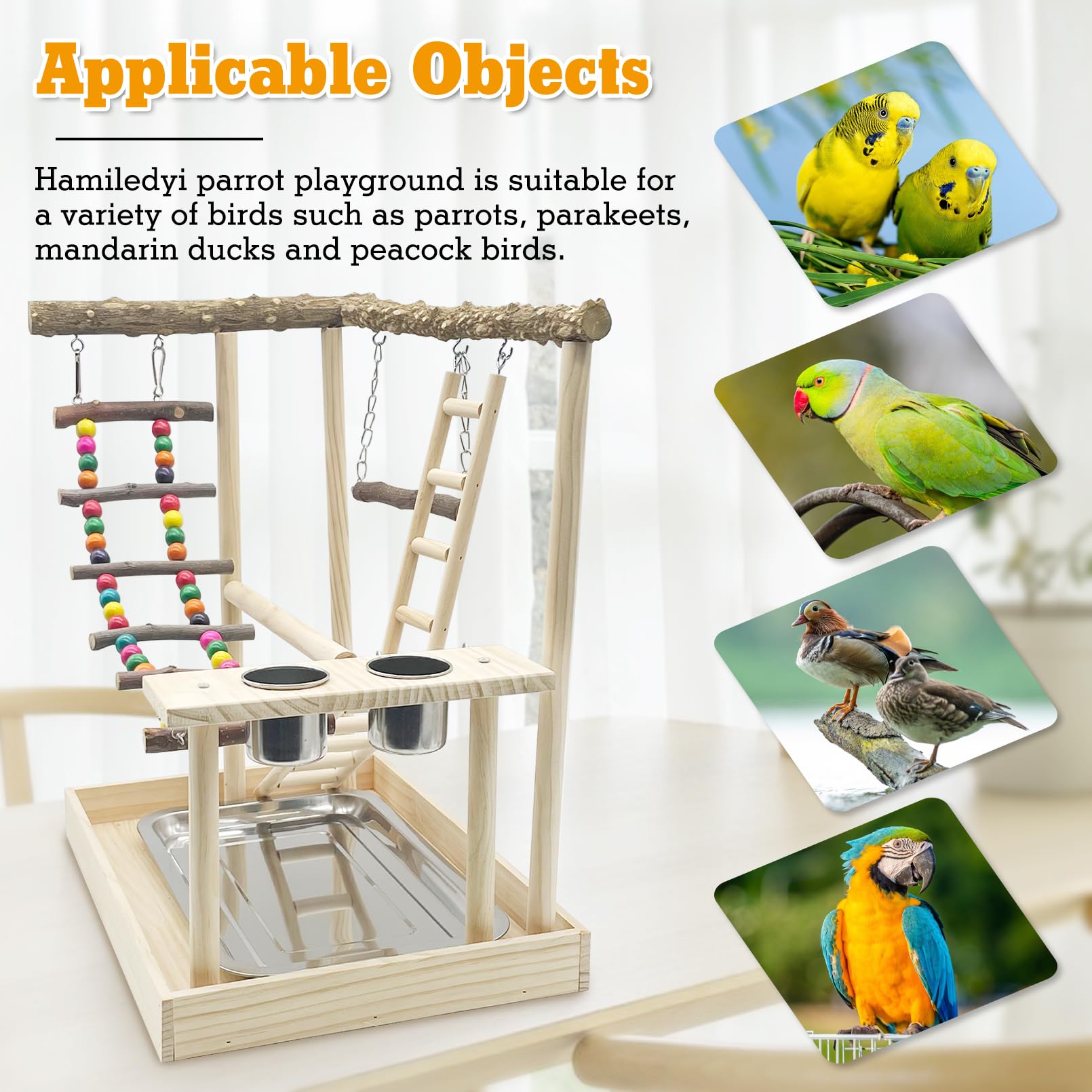 Hamiledyi Exercise Area Bird Playground provides versatile perches for exploration