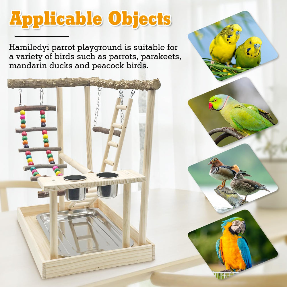 Hamiledyi Exercise Area Bird Playground provides versatile perches for exploration