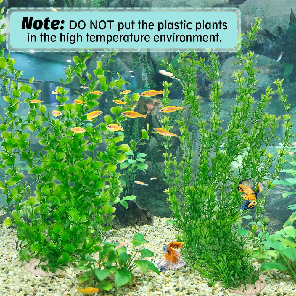 Tall green Hamiledyi aquarium plants ready for tower-style setup