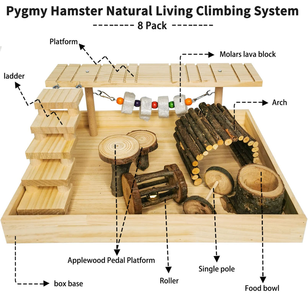 Hamiledyi hamster bell swing captures attention during play and daily enrichment.