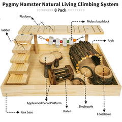Hamiledyi hamster bell swing captures attention during play and daily enrichment.