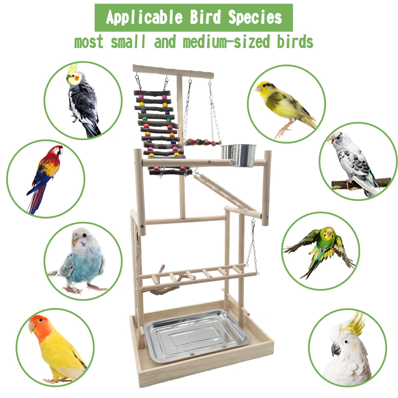 Hamiledyi ladder, suspension bridges, and feeding cups support interactive play.