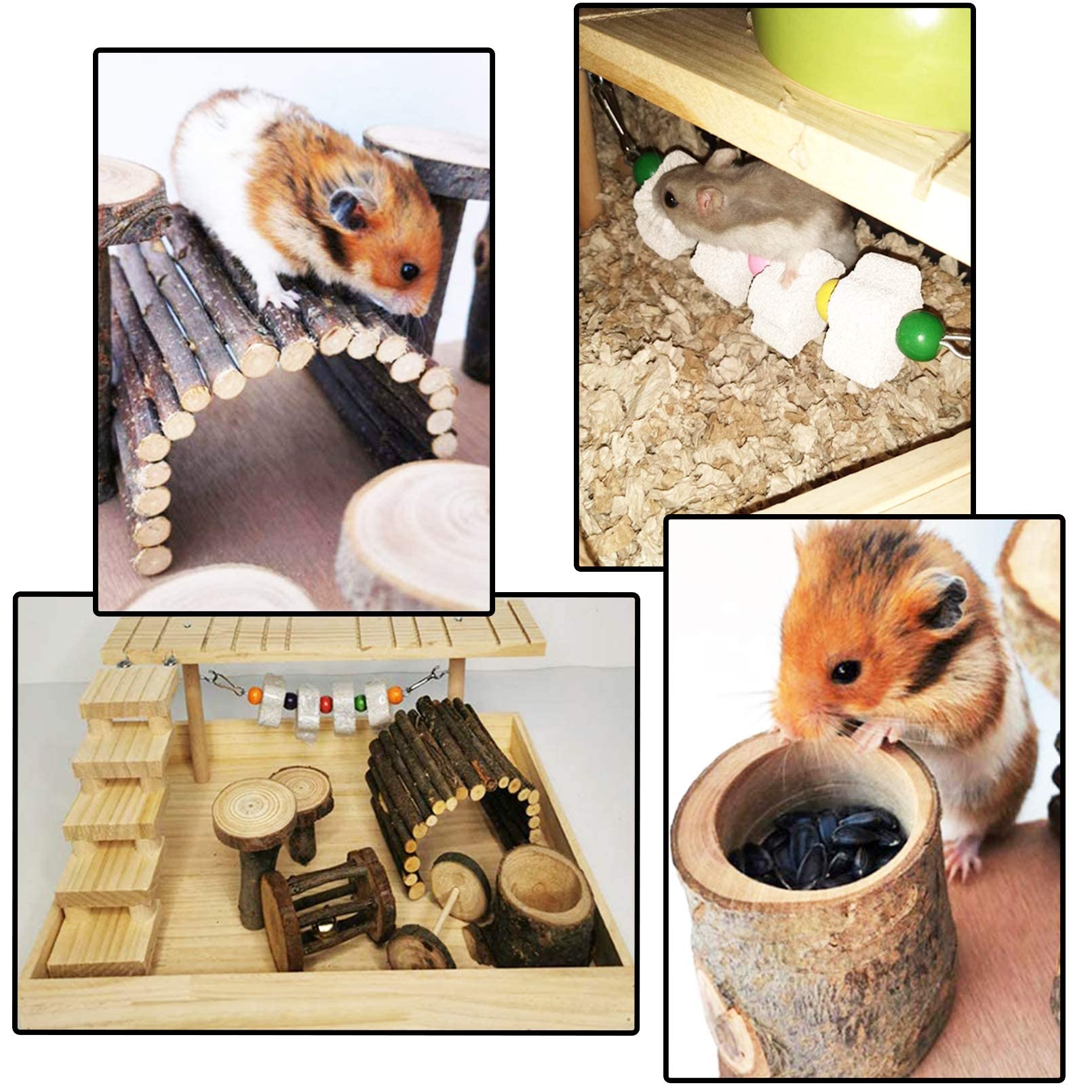 Hamiledyi lava stone teeth block aids natural chewing and wear-resistant molar interactions.