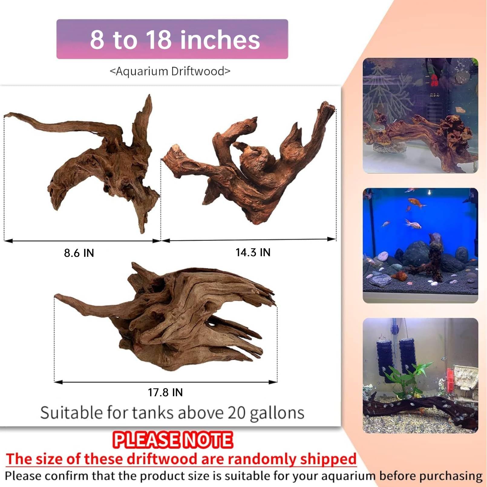 Hamiledyi Mopani driftwood pair adds natural texture to tanks
