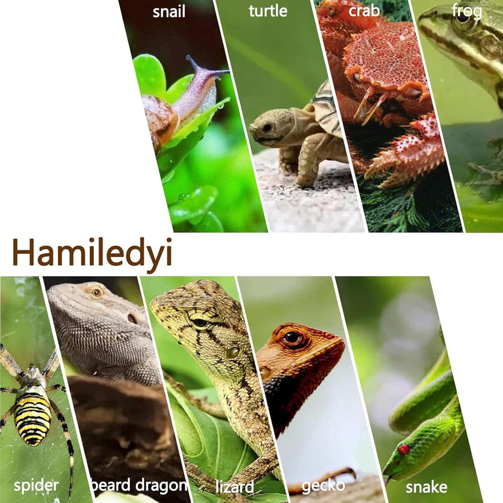 Hamiledyi moss-tree decor idea for vibrant fish tanks.