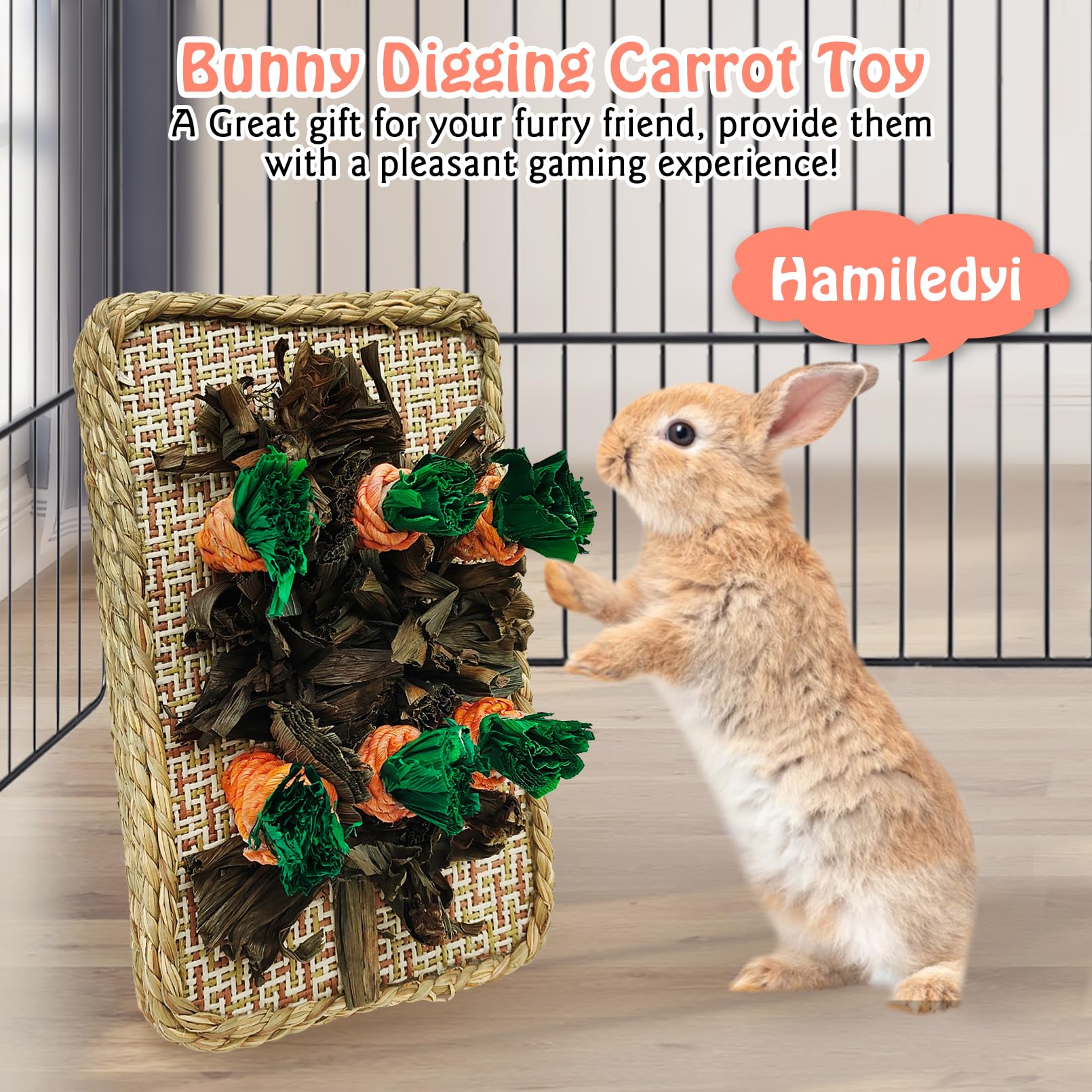 Hamiledyi multi-pet enrichment set supports curious small animals.