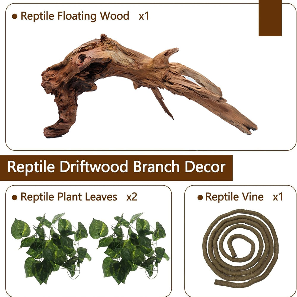 Hamiledyi natural branch texture enriches terrarium habitats.