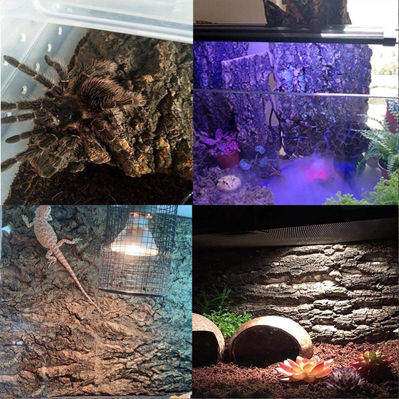 Hamiledyi natural cork terrarium decor for a more authentic habitat.