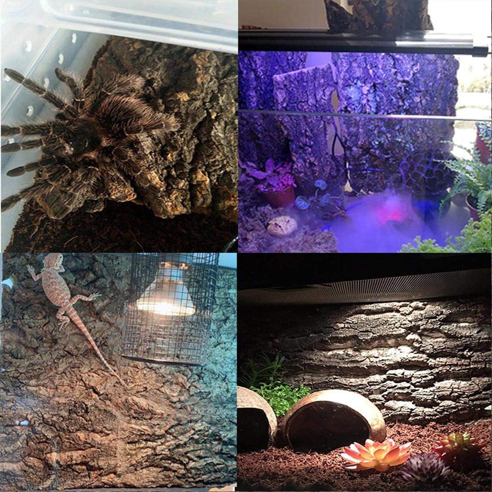 Hamiledyi natural cork terrarium decor for a more authentic habitat.