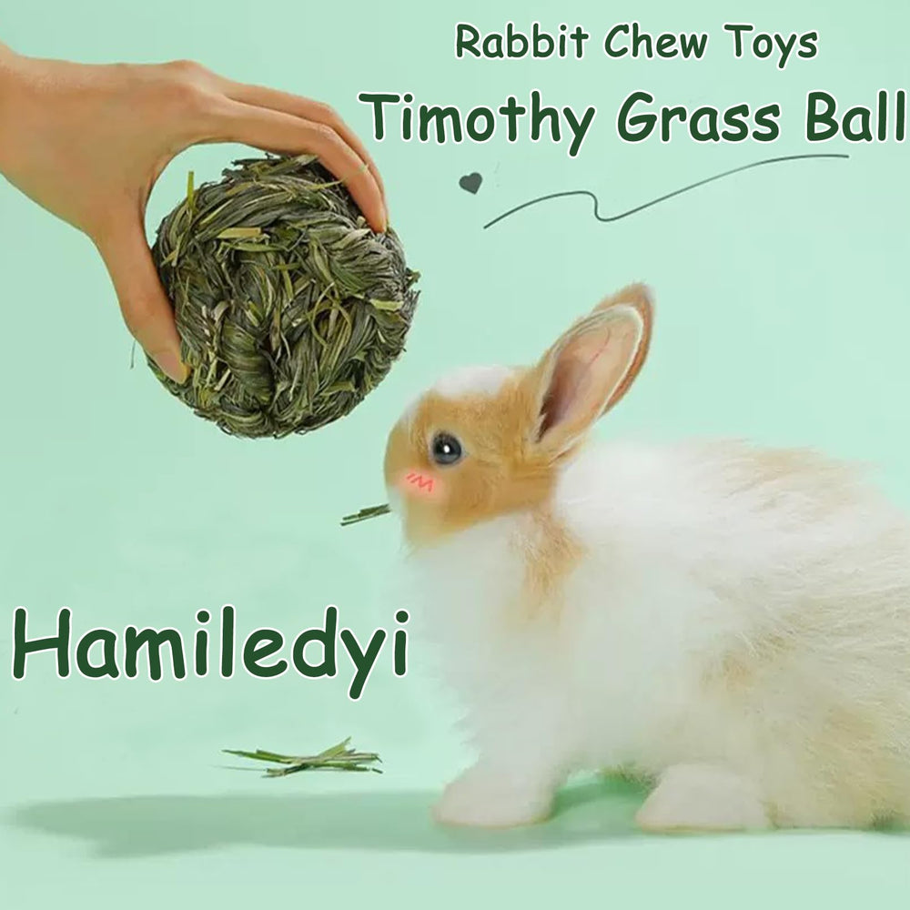 Hamiledyi pack includes six Timothy grass balls for ongoing play.