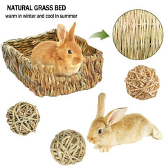 Hamiledyi pine cone toy motivates exploration with gentle gnawing