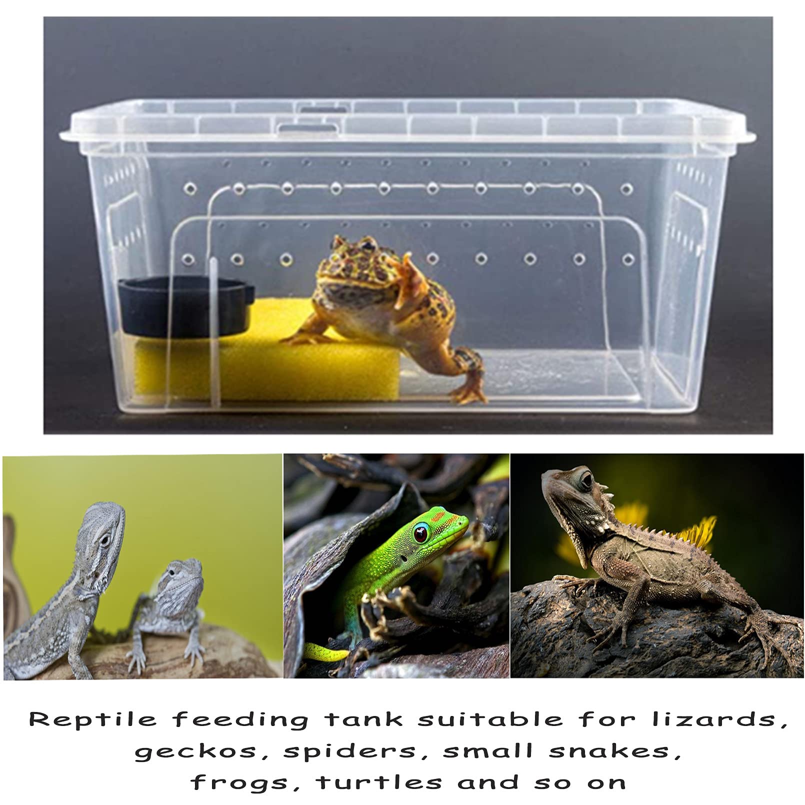 Hamiledyi portable design supports on-the-go reptile transport.