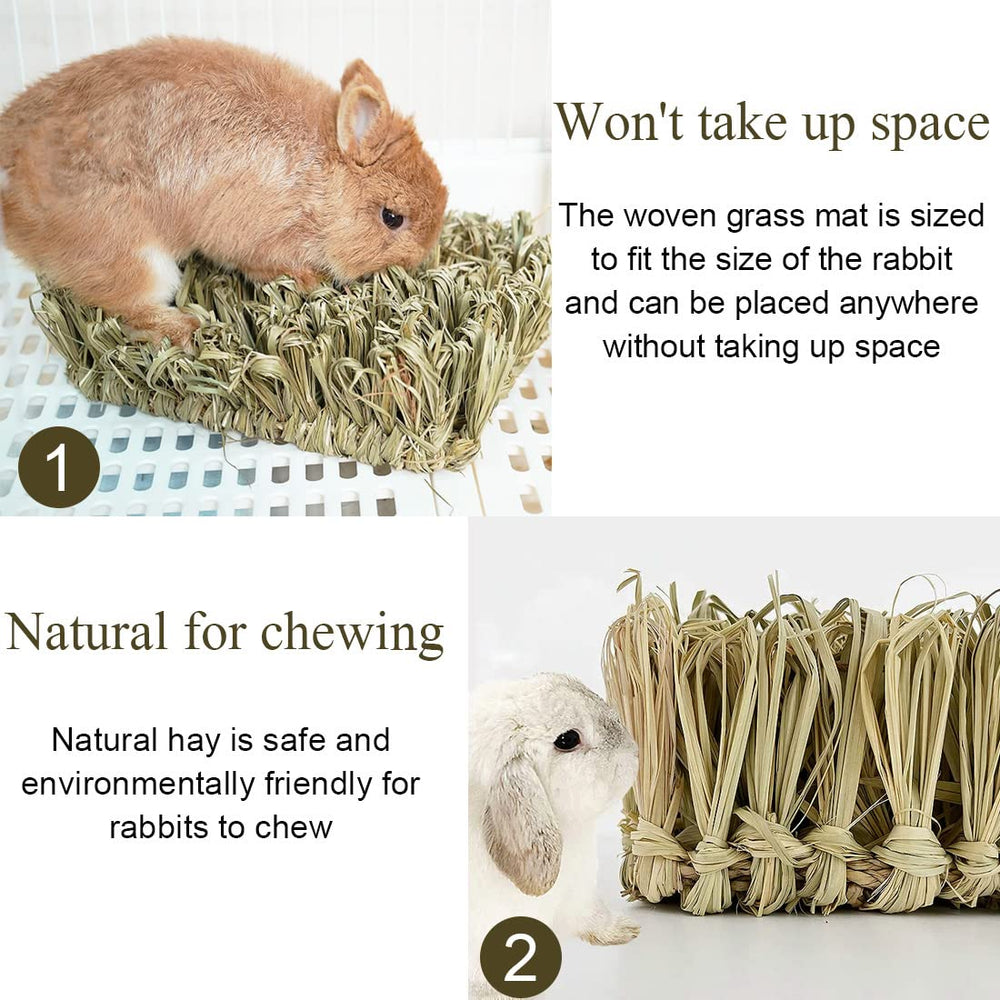 Hamiledyi rabbit grass bed chew-safe-for-teeth surface with nibbling potential.
