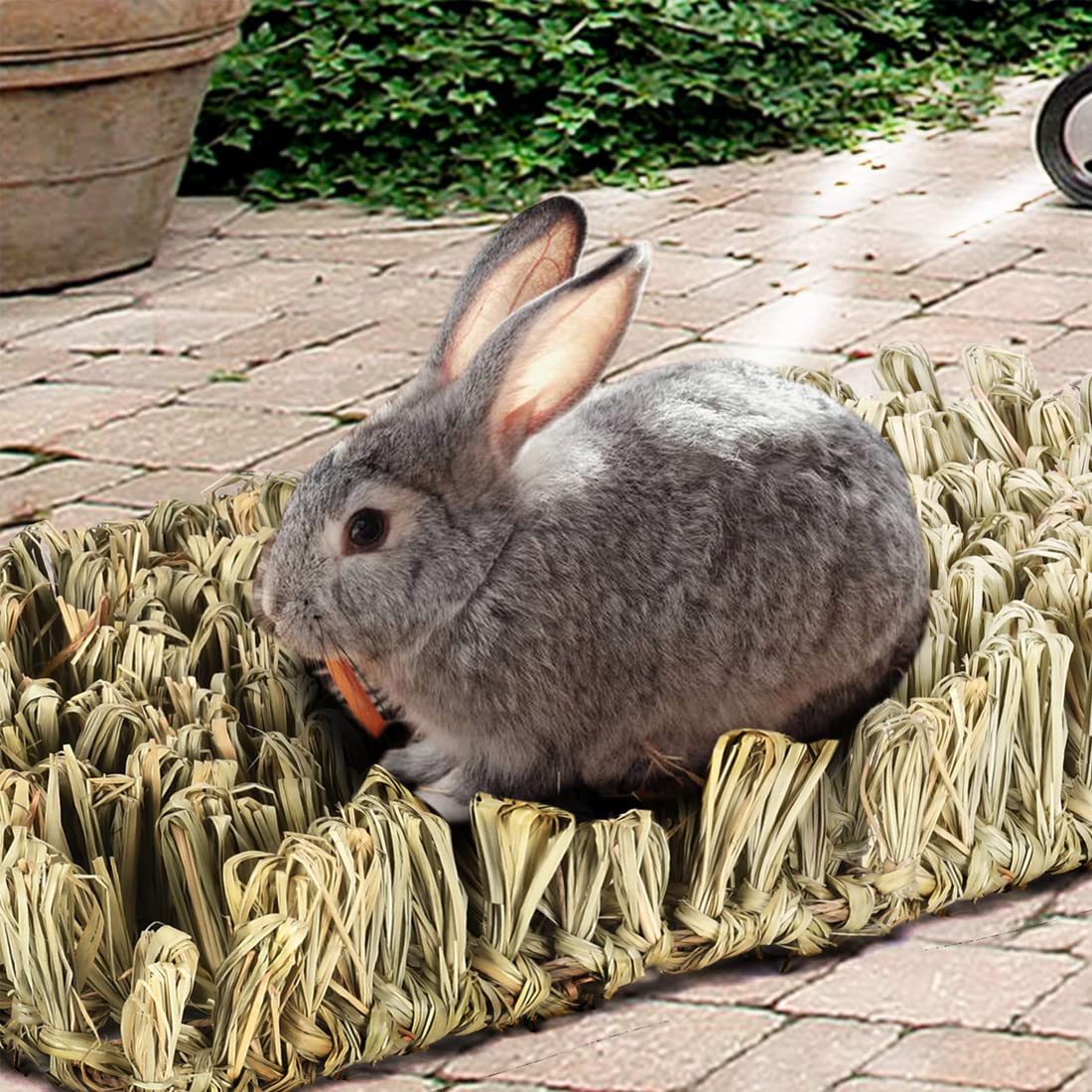 Hamiledyi rabbit grass bed floor protection that cushions tiny paws.