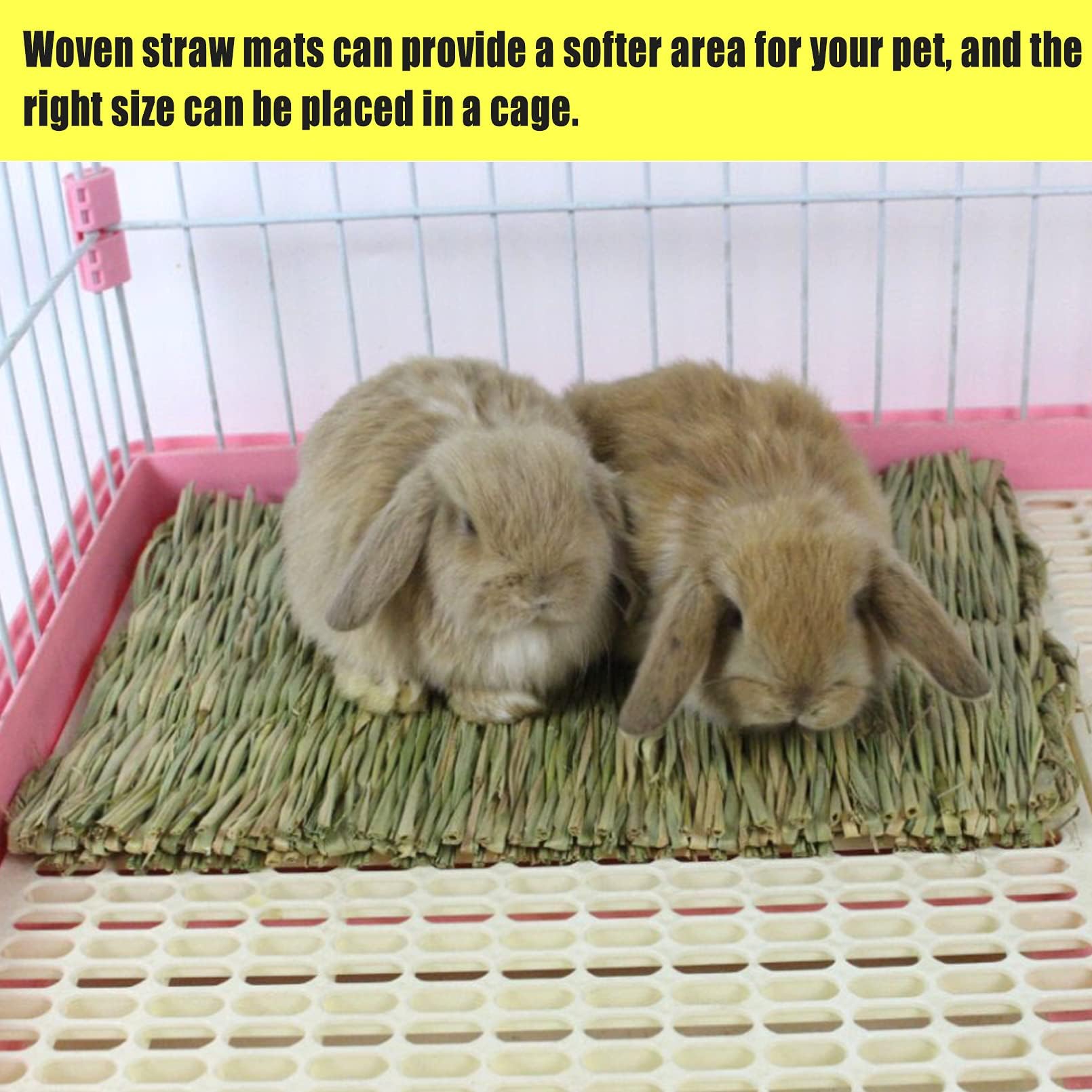 Hamiledyi grass mat used as cage lining to provide gentle habitat surface.