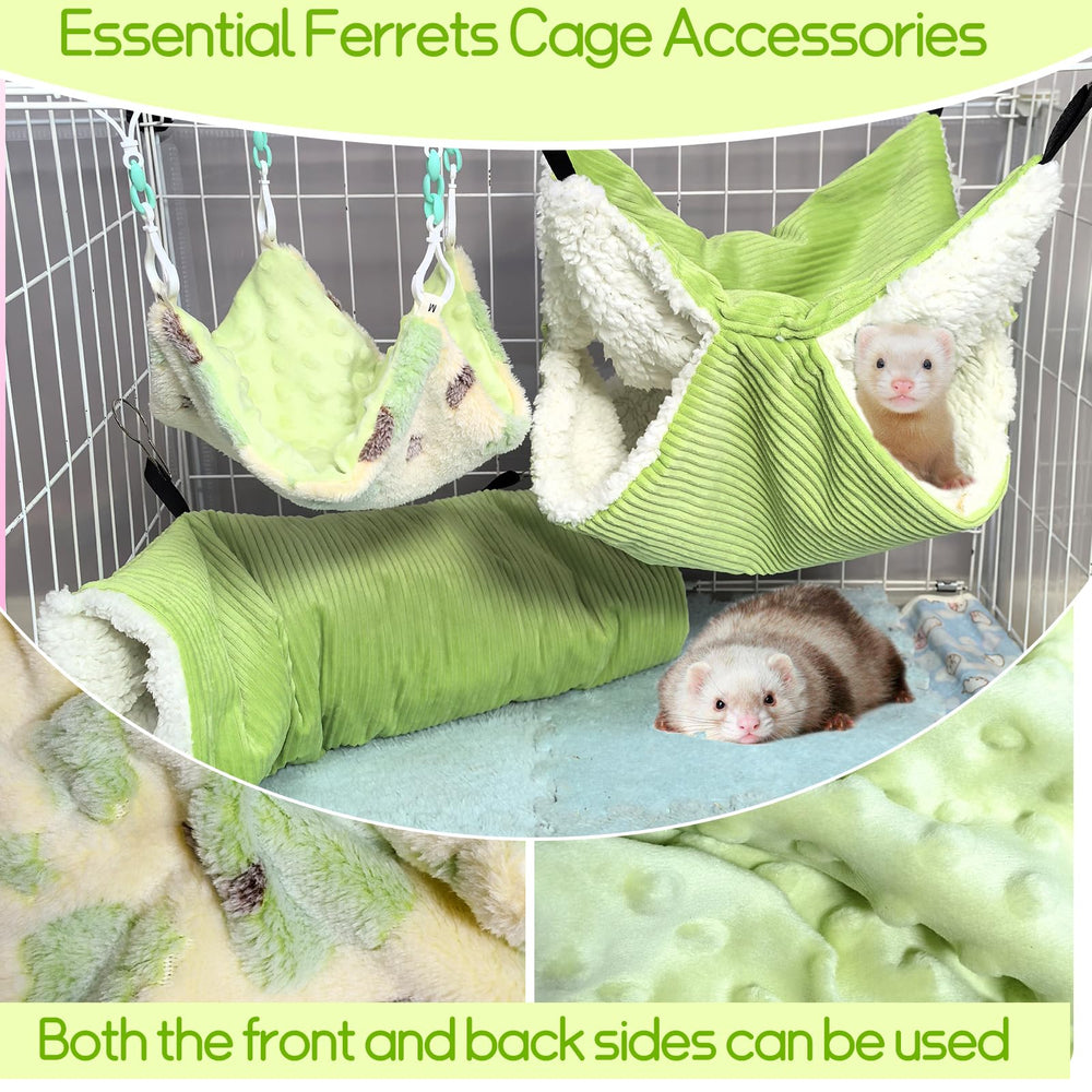 Hamiledyi rat tunnel offers safe hiding and exploration during playtime.