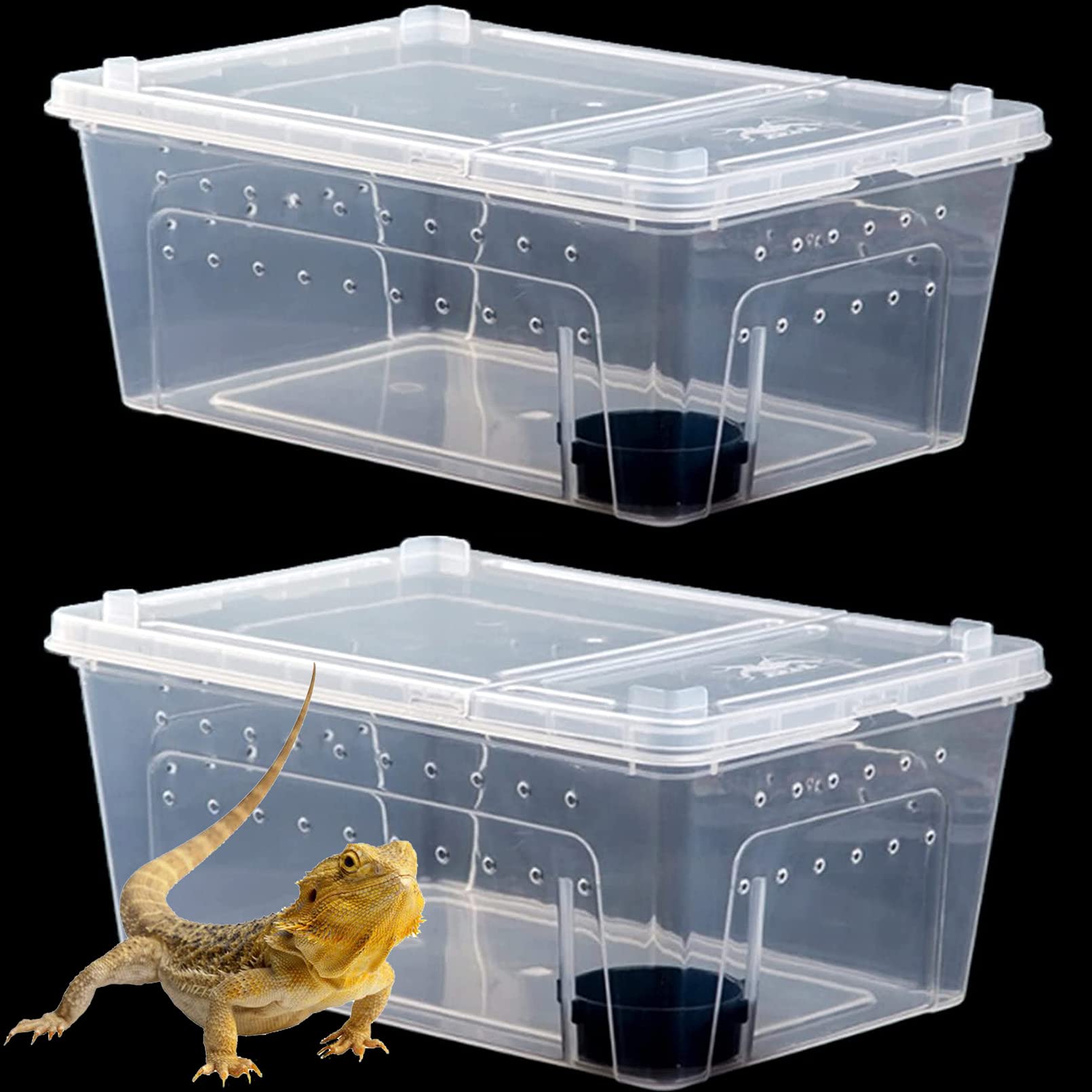 Hamiledyi reptile box full view for easy observation and handling.