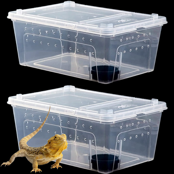 Hamiledyi reptile box full view for easy observation and handling.