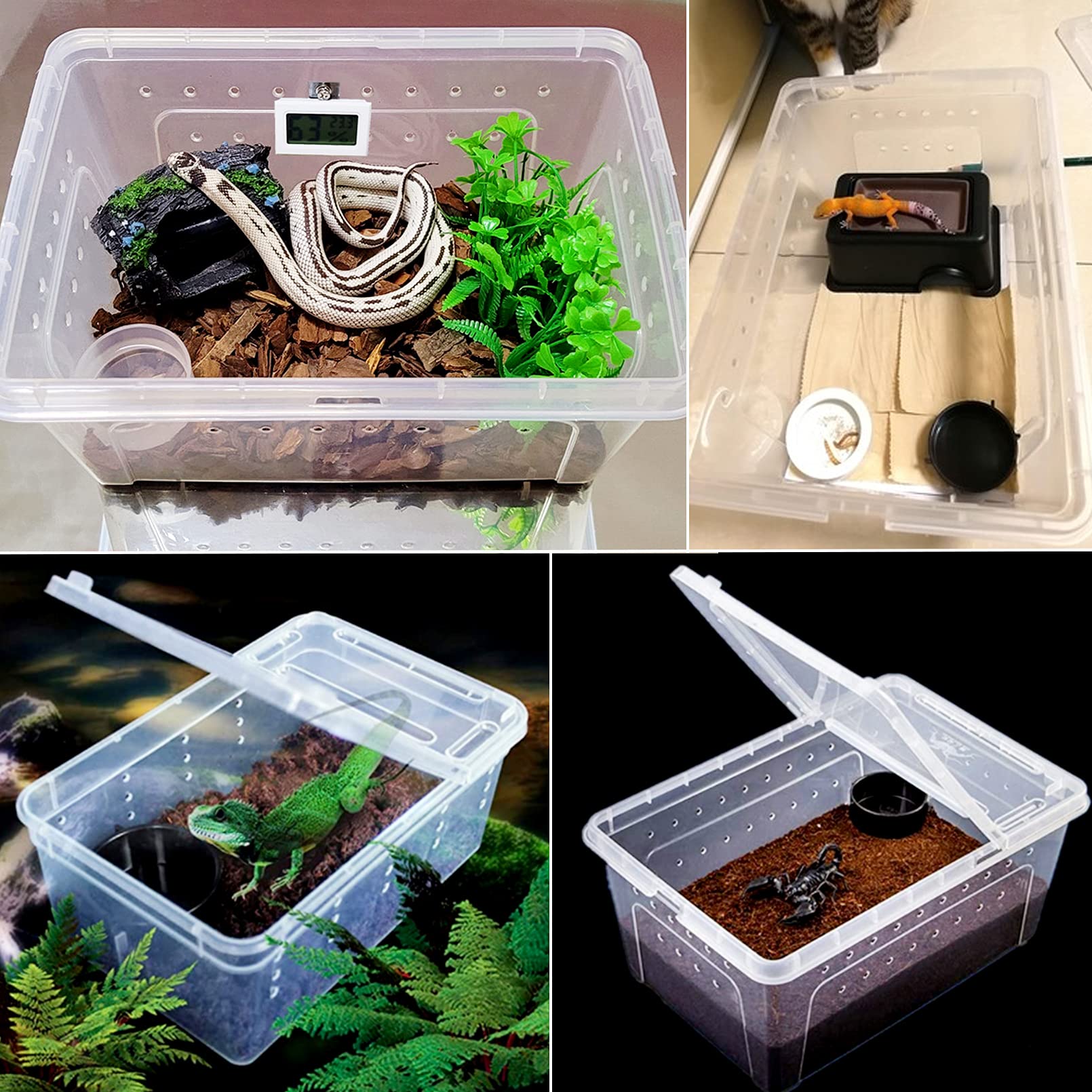 Hamiledyi transparent plastic close-up shows sturdy, clear material for viewing.