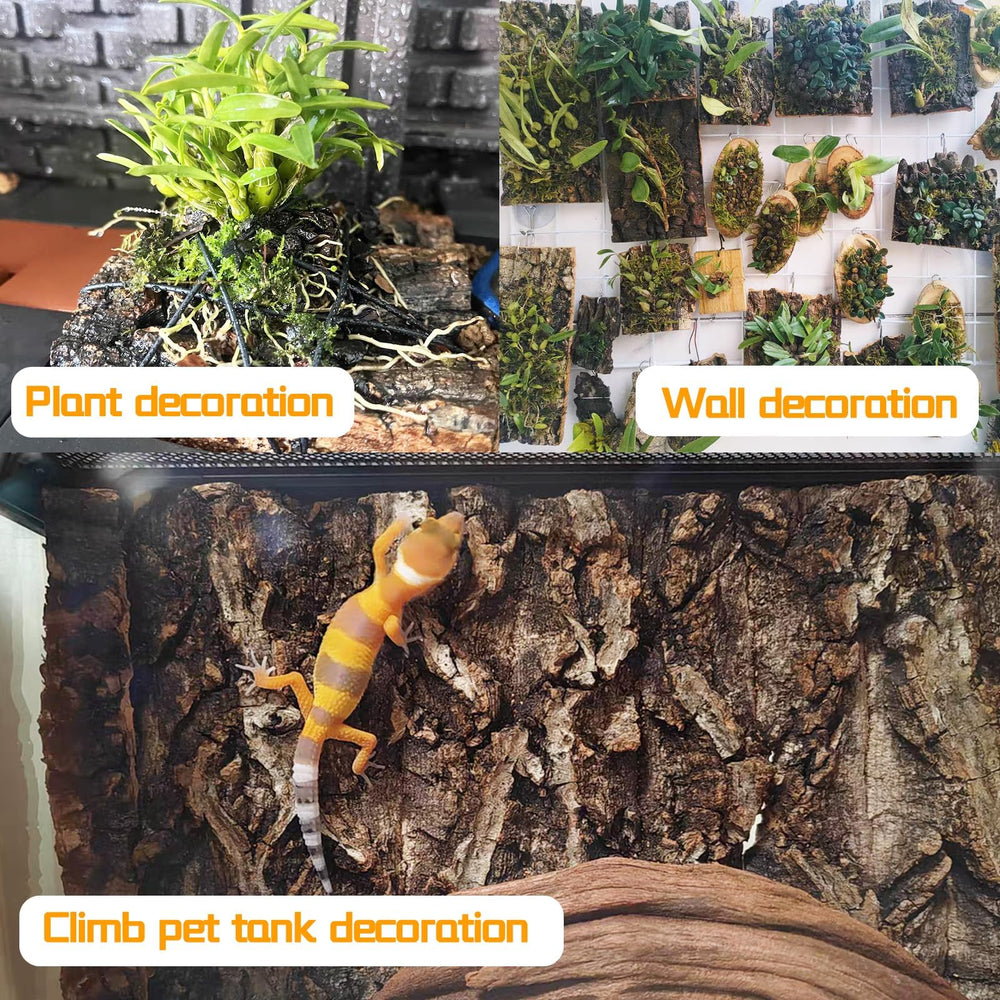 Hamiledyi reptile climbing surface supports activity and exploration inside the enclosure