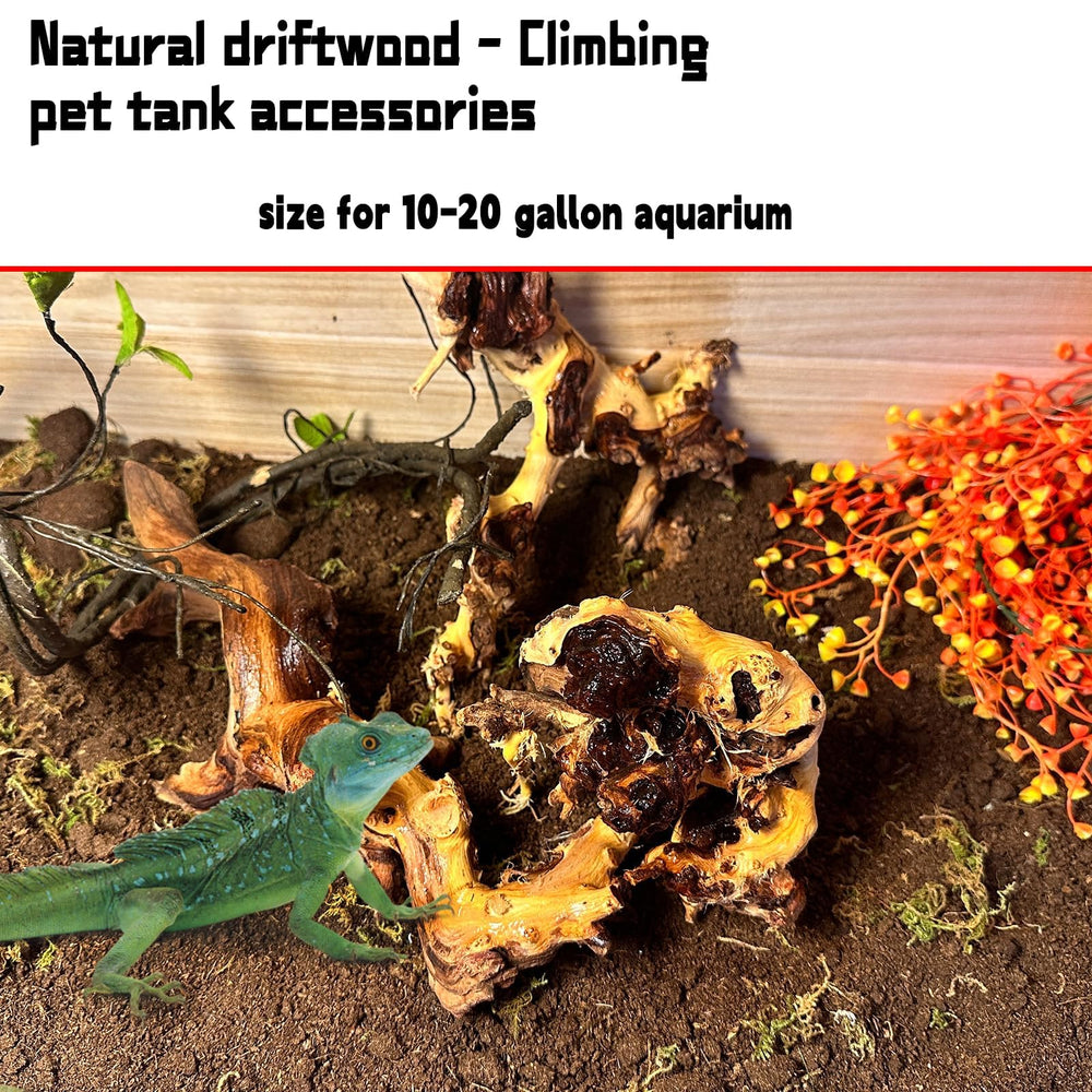 Hamiledyi reptile driftwood decor natural habitat accent.