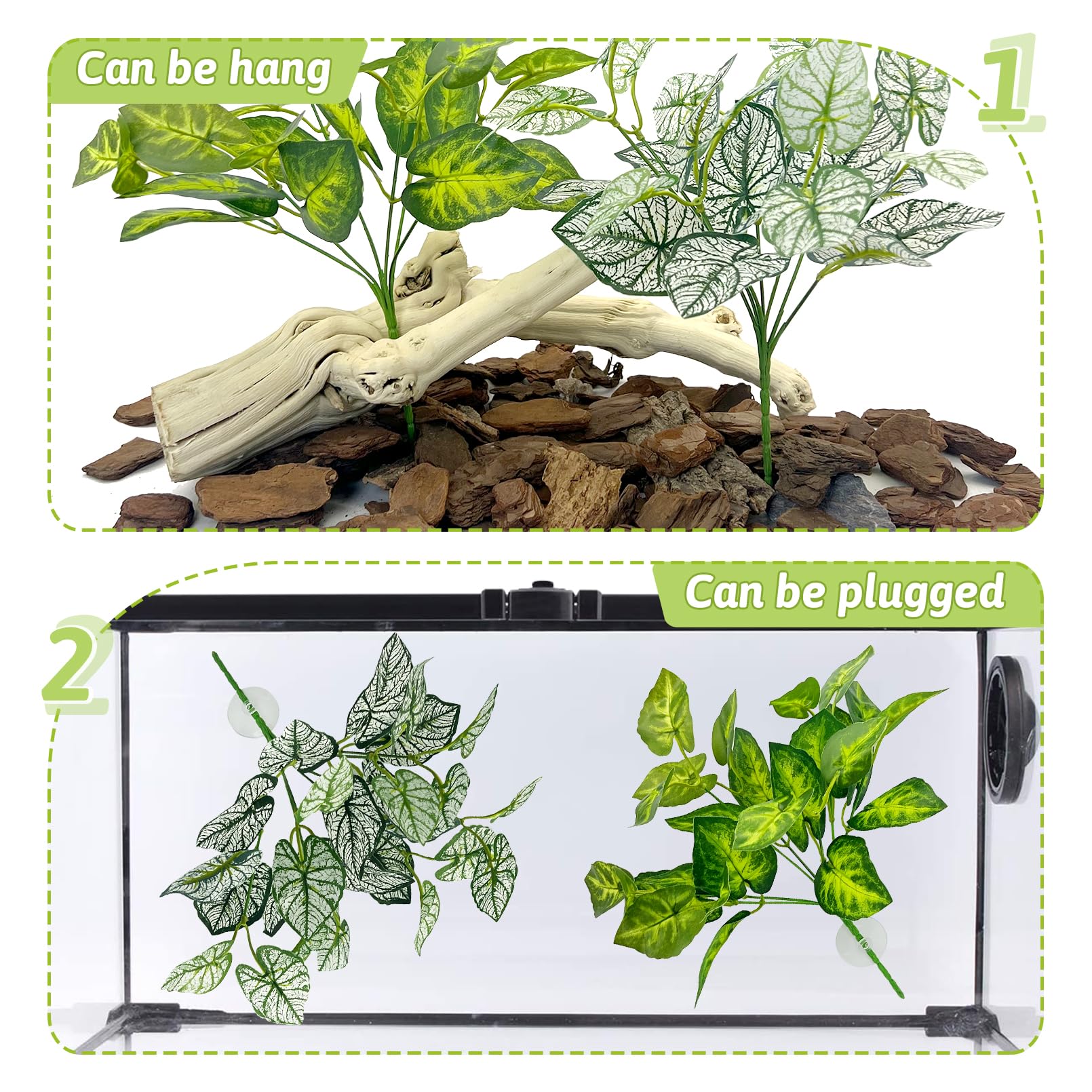 Hamiledyi versatile pack supports bearded dragons, geckos, and other reptiles.
