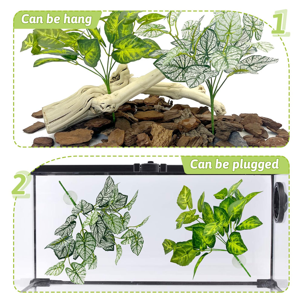 Hamiledyi versatile pack supports bearded dragons, geckos, and other reptiles.