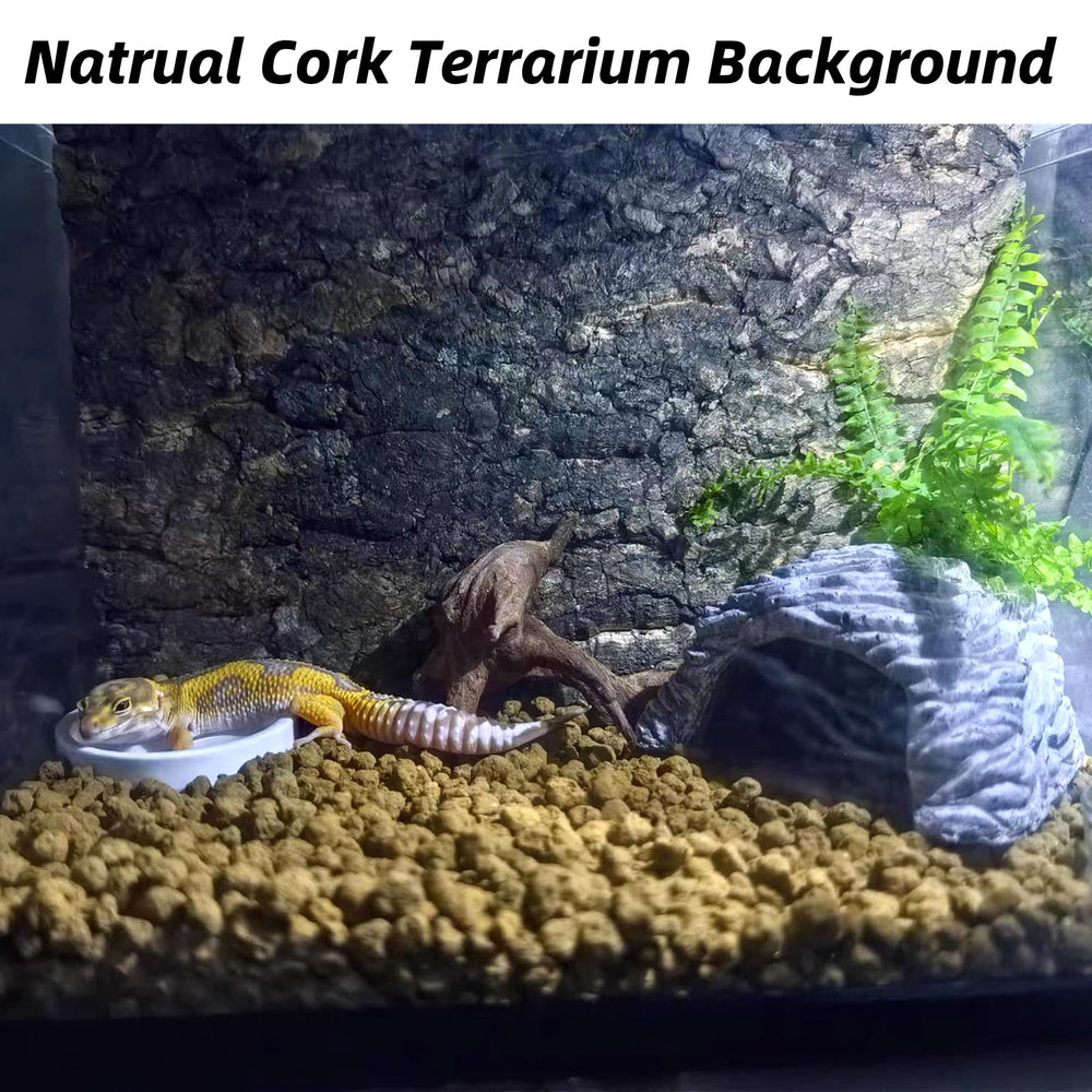 Hamiledyi reptile tank background board adds visual depth.