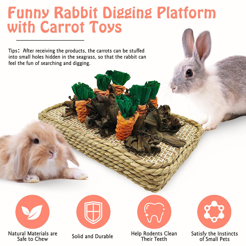 Hamiledyi six-carrot toy inserts boost exploration and interactive play.
