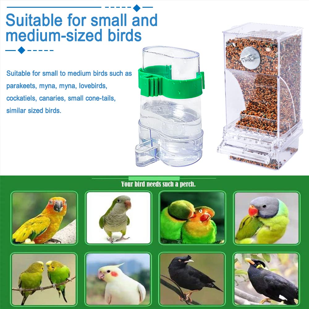 Hamiledyi Small bird cage setup showing external feeding station.