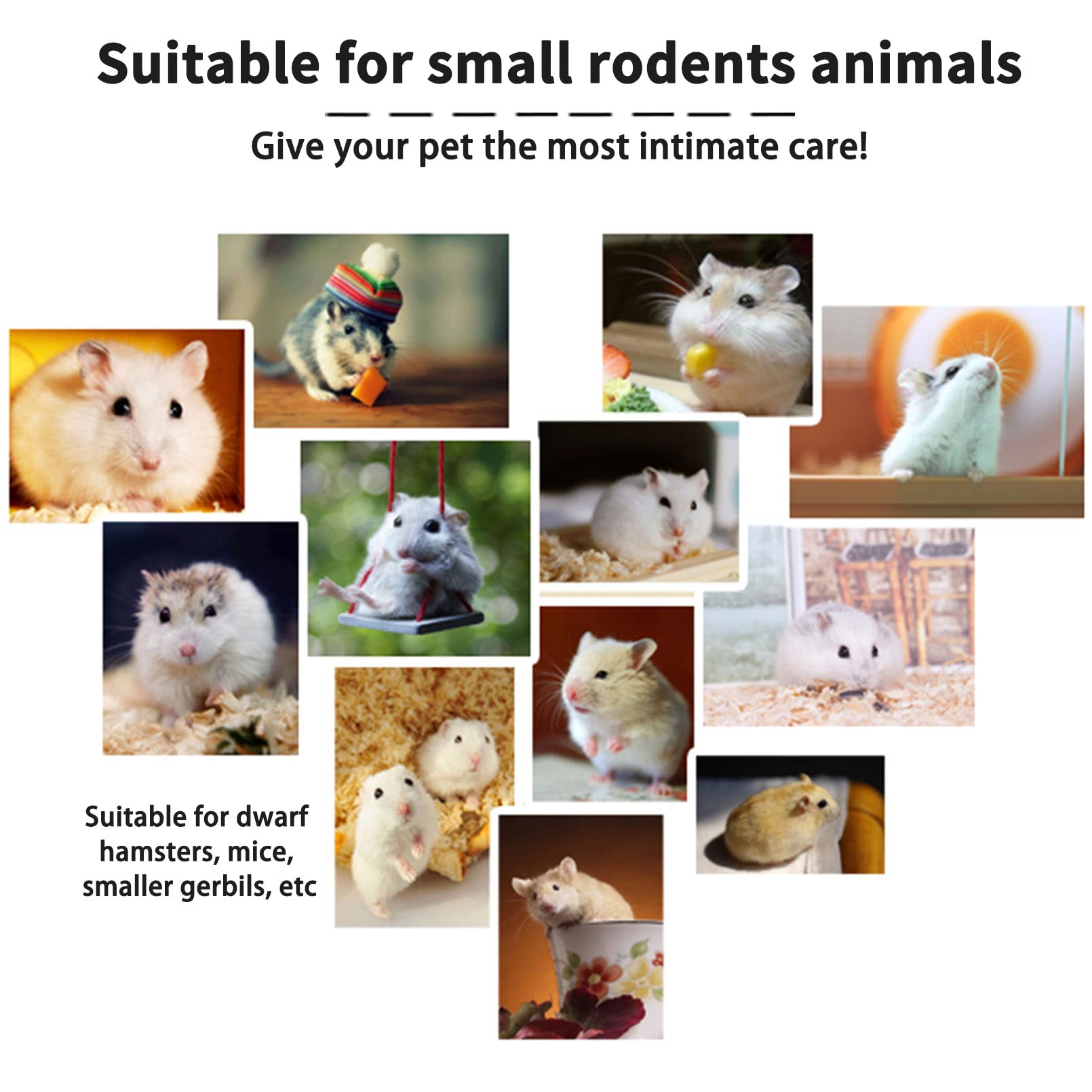 Hamiledyi small rodent exercise cage designed for dwarf hamsters, mice, and small gerbils.