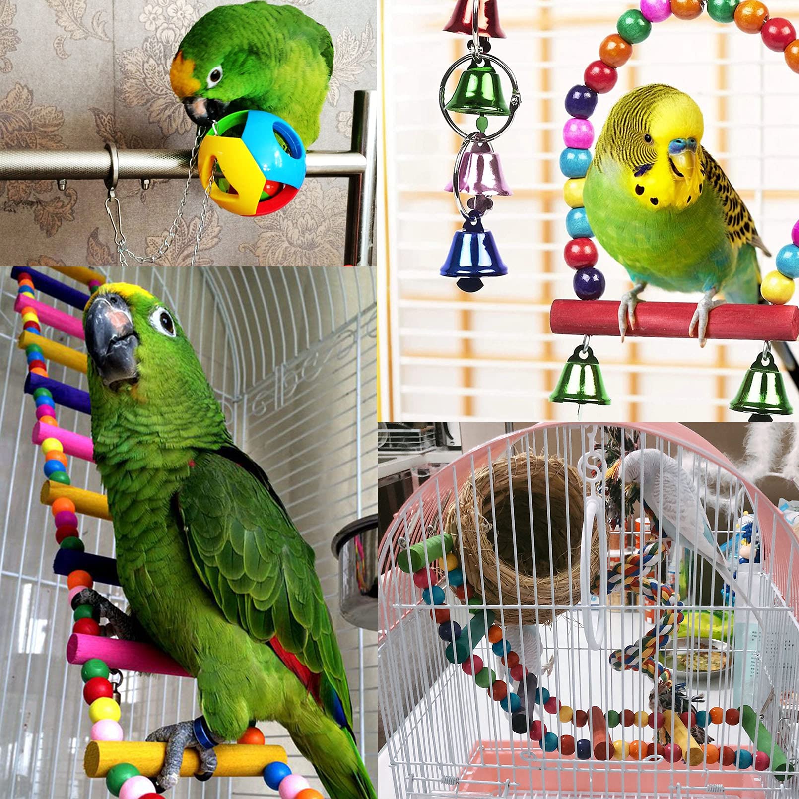 Hamiledyi swing platform provides an elevated perch for birds to explore