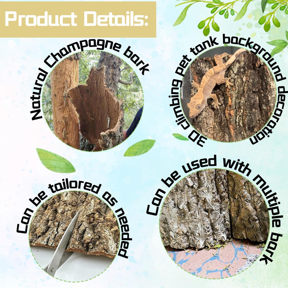 Hamiledyi turtle lizard chameleon habitat decor combines function with natural aesthetics