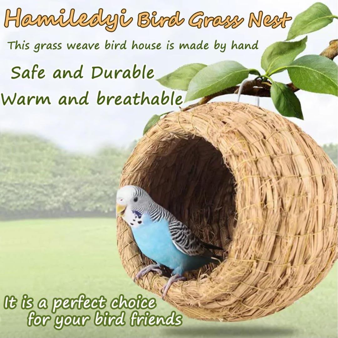 Hamiledyi winter roosting birds habitat demonstrates warm shelter option.