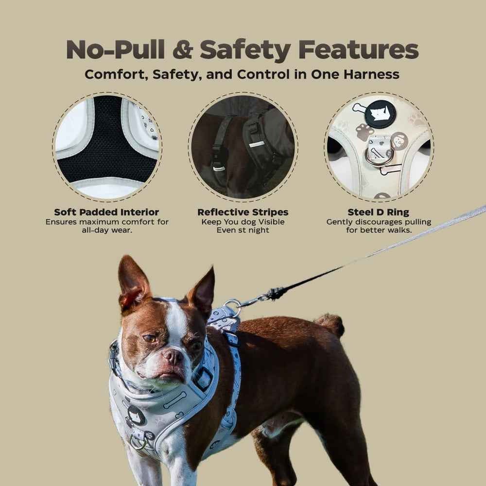 HamInWay beige daily-wear harness ready for adventures