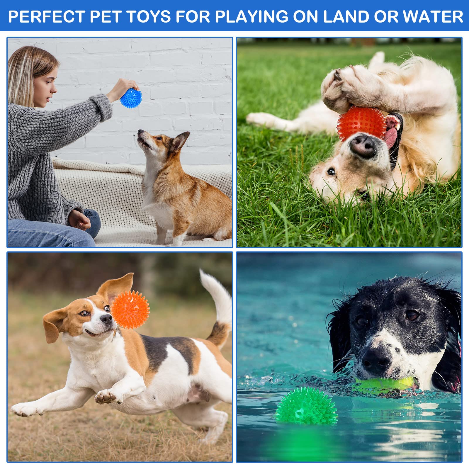 Hanaive 2.5-inch ball pack in action during dog playtime
