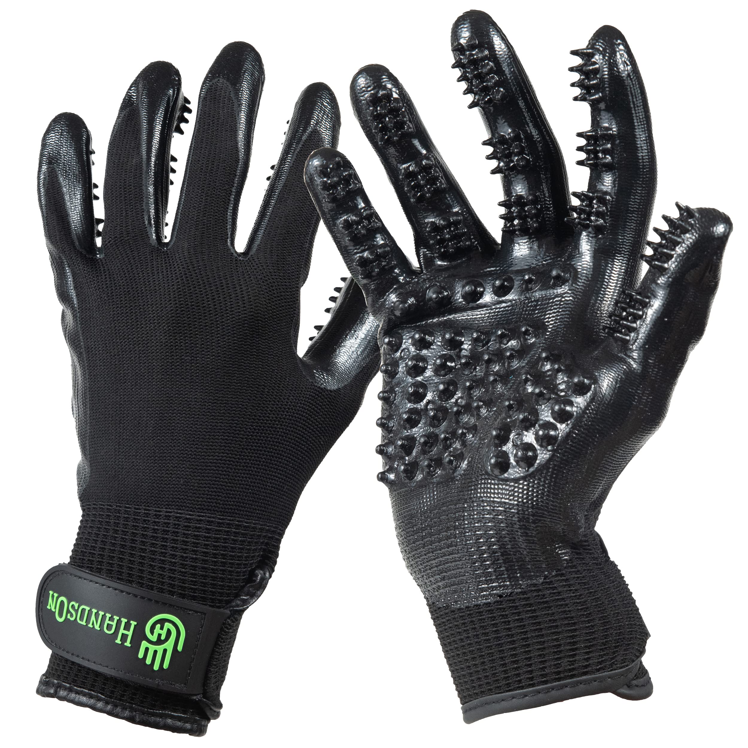 H HANDSON grooming gloves on hand for gentle brushing and shedding control.