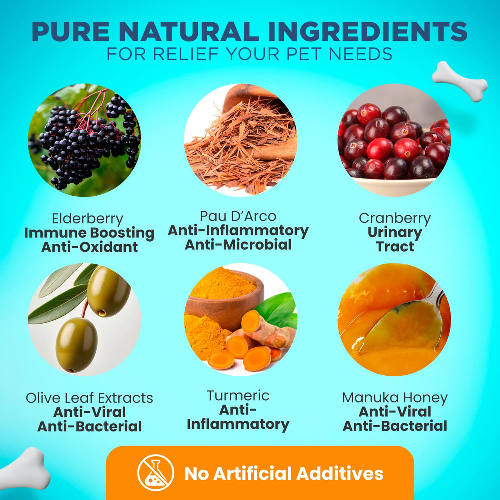 Angelica root signals urinary health support as part of daily dog wellness.