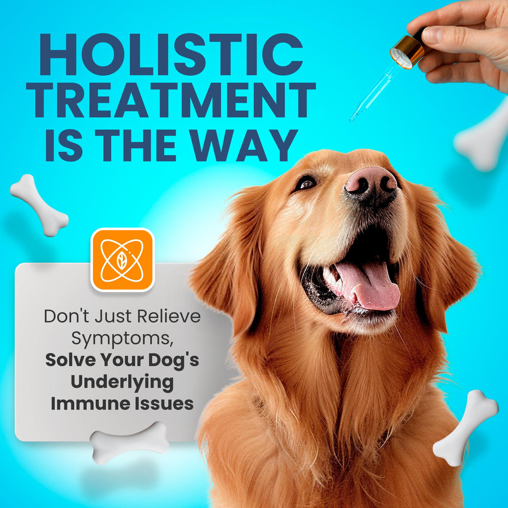 Handy Hound with Echinacea and Manuka honey emphasizes skin and coat health.