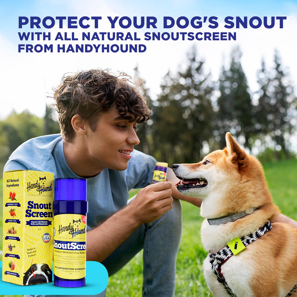 Close-up of SnoutScreen nose balm being applied to a dog's nose