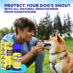Close-up of SnoutScreen nose balm being applied to a dog's nose