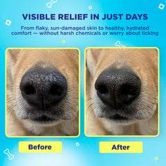 Handy Hound SnoutScreen paw balm jar shown with natural ingredients